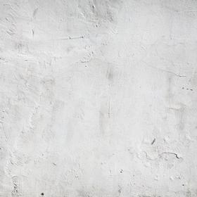 plastering in Edinburgh